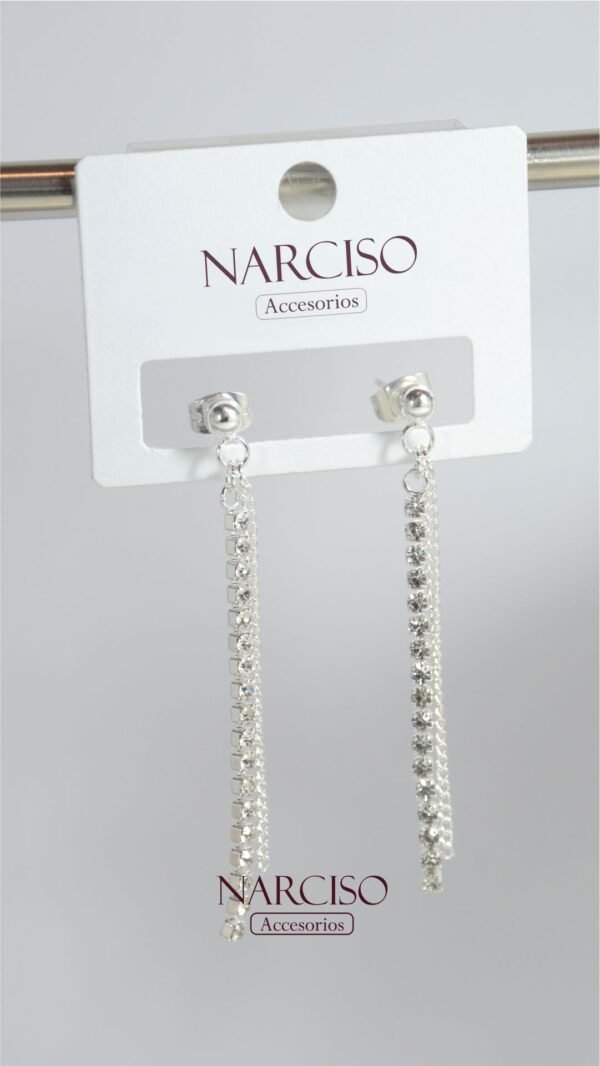Aros party - Image 2